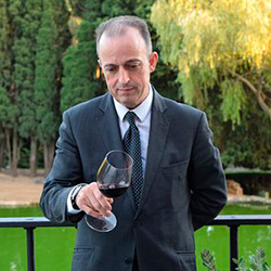 TONI GEREZ