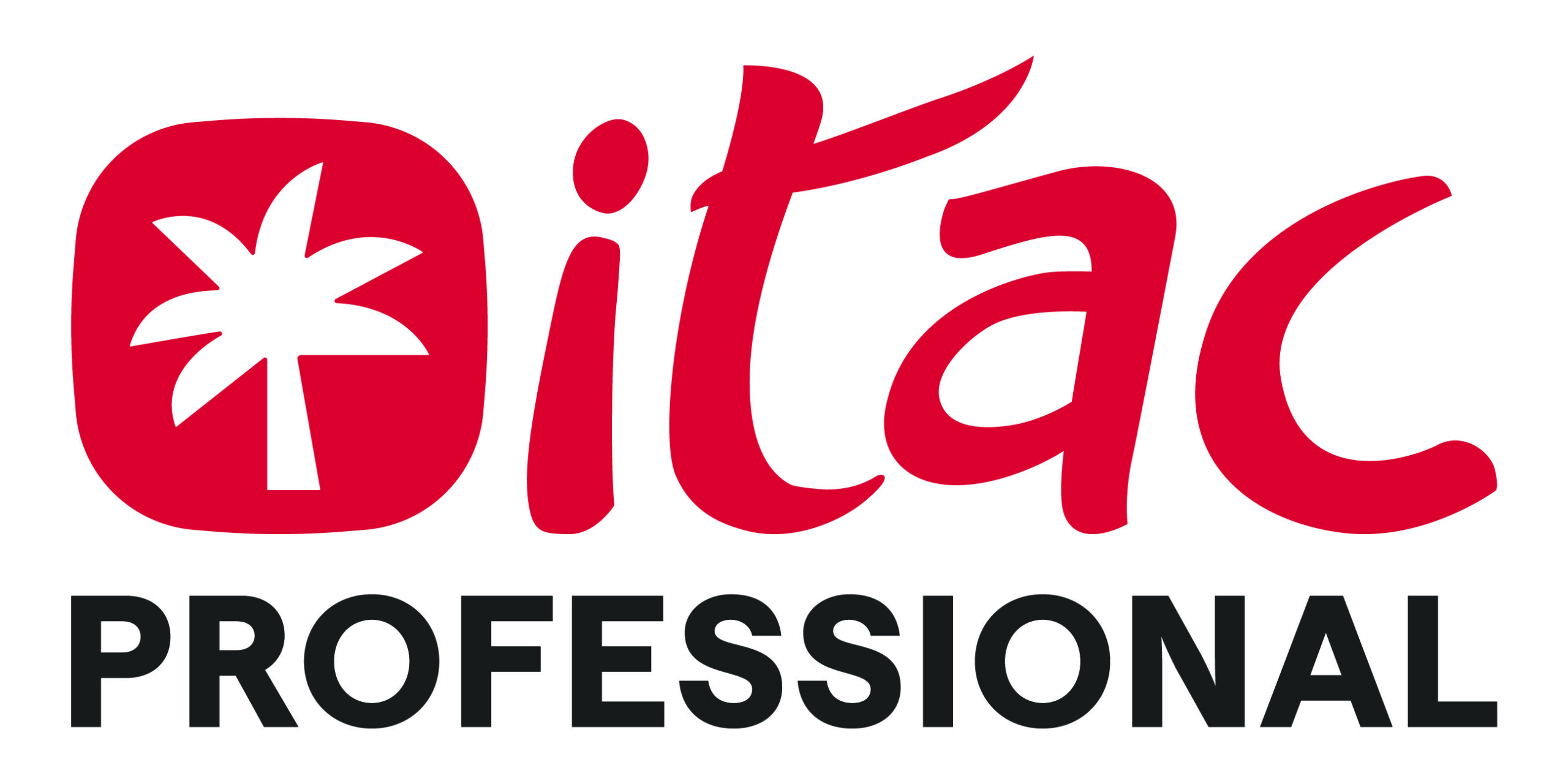 ITAC PROFESSIONAL